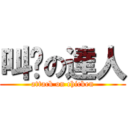 叫雞の達人 (attack on chicken)