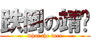 跌倒の靖喵 (what the fucx)
