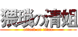 猥琐の清姐 (attack on titan)