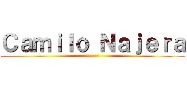 Ｃａｍｉｌｏ Ｎａｊｅｒａ (カミロナヘラ)