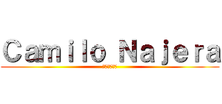 Ｃａｍｉｌｏ Ｎａｊｅｒａ (カミロナヘラ)
