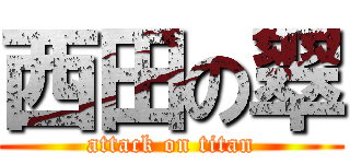 西田の翠 (attack on titan)