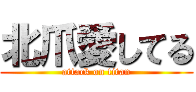 北爪愛してる (attack on titan)