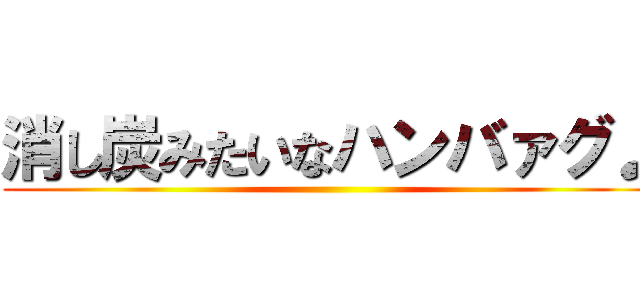 消し炭みたいなハンバァグ♪ ()