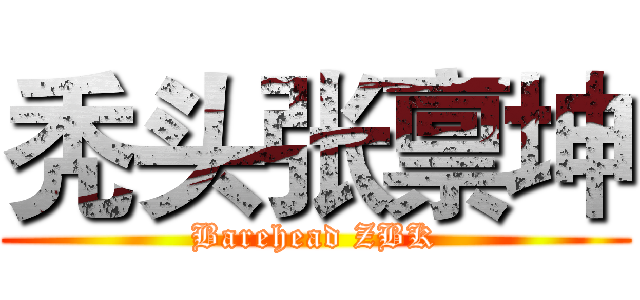 秃头张禀坤 (Barehead ZBK)
