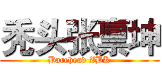 秃头张禀坤 (Barehead ZBK)
