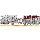 進撃の細胞 (女孩你的名字呢?)