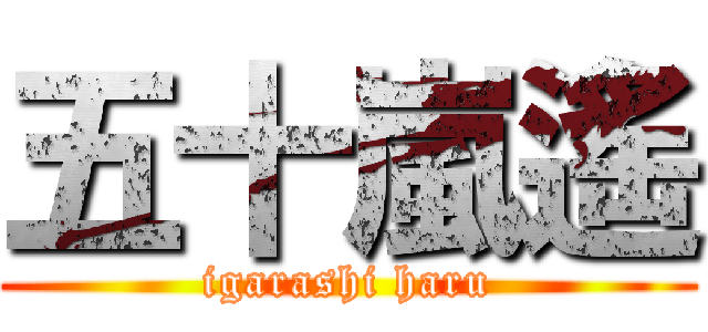 五十嵐遙 (igarashi haru)
