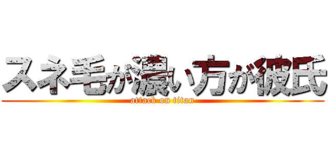 スネ毛が濃い方が彼氏 (attack on titan)