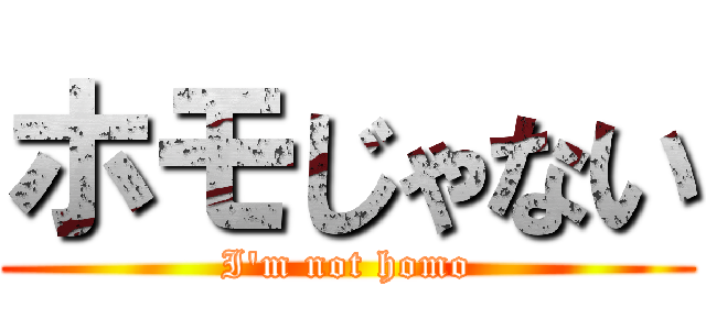 ホモじゃない (I'm not homo)