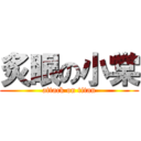 炙眼の小棠 (attack on titan)