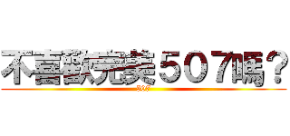 不喜歡完美５０７嗎？ (507)