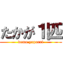 たかが１匹 (demo yaparri)