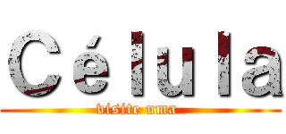 Ｃéｌｕｌａ (visite uma )