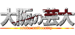 大阪の芸大 (osaka university )