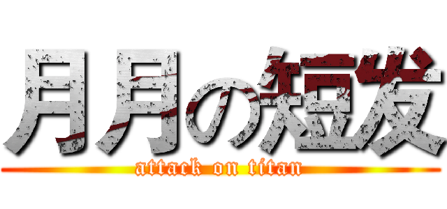 月月の短发 (attack on titan)