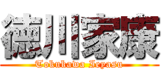 徳川家康 (Tokukawa Ieyasu)