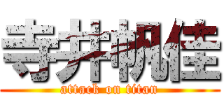 寺井帆佳 (attack on titan)