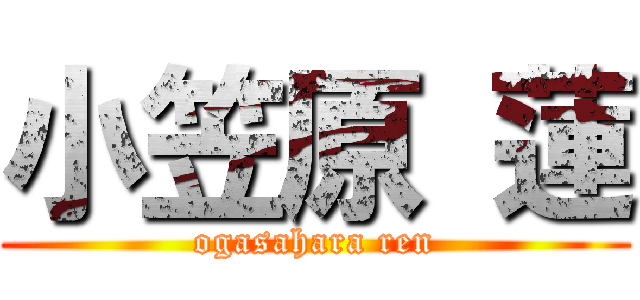 小笠原 蓮 (ogasahara ren)