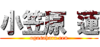 小笠原 蓮 (ogasahara ren)