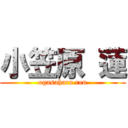 小笠原 蓮 (ogasahara ren)