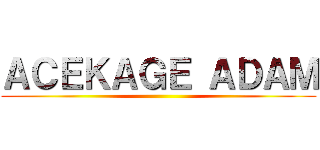 ＡＣＥＫＡＧＥ ＡＤＡＭ ()