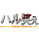 ハル笑え (haru plz lol)