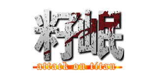 籽岷 (attack on titan)