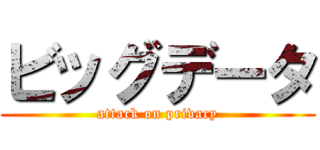 ビッグデータ (attack on privacy)