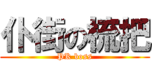 仆街の梳把 (PK boss)