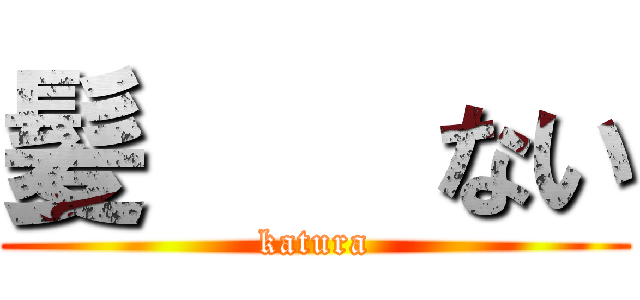 髪    ない (katura)