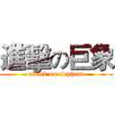 進擊の巨象 (attack on elephant)