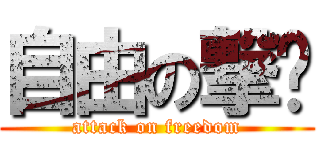 自由の撃击 (attack on freedom)