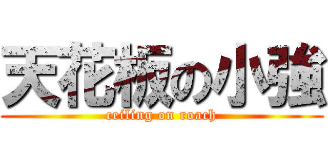 天花板の小強 (ceiling on roach)