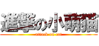 進撃の小萌猫 (attack on cat)