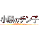 小原のチン子 (OBARA 30m)