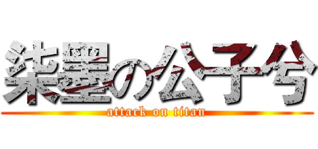 柒墨の公子兮 (attack on titan)