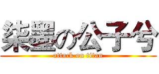 柒墨の公子兮 (attack on titan)