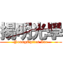 揚明光學 (YoungOptics Inc)