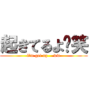 起きてるよ〜笑 (l'm get up    ww)