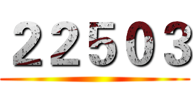 ２２５０３ ()