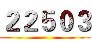 ２２５０３ ()