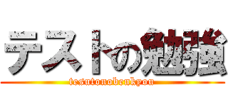 テストの勉強 (tesutonobenkyou)