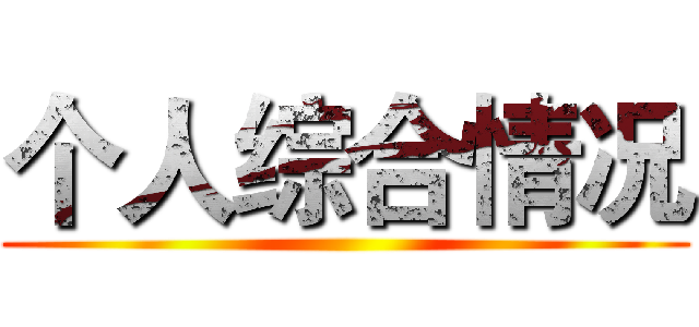 个人综合情况 ()