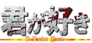 君が好き (I Love You)