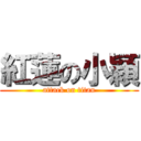 紅蓮の小穎 (attack on titan)