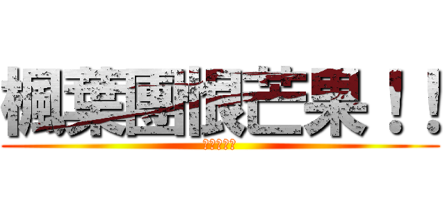 楓葉團恨芒果！！ (楓葉團最讚)