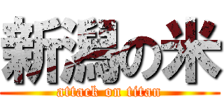 新潟の米 (attack on titan)