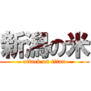 新潟の米 (attack on titan)