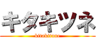 キタキツネ (kitakitune)